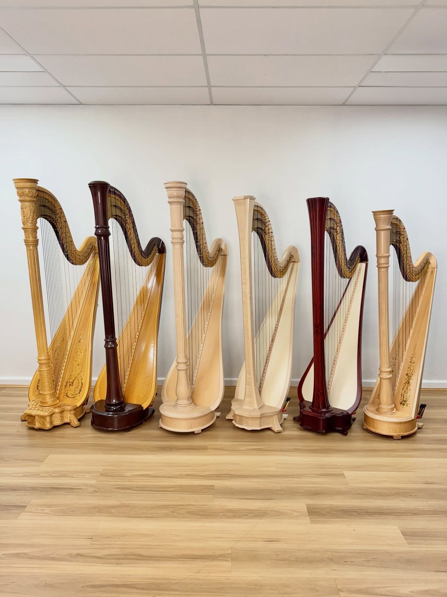 When an interesting array of harps passed through our showroom, we couldn&rsquo;t help but line them up for a photo 🪉✨

Pictured here is an assortment of new, used, and rental pedal harps made by Lyon &amp; Healy and Salvi.

If you&rsquo;re thinking
