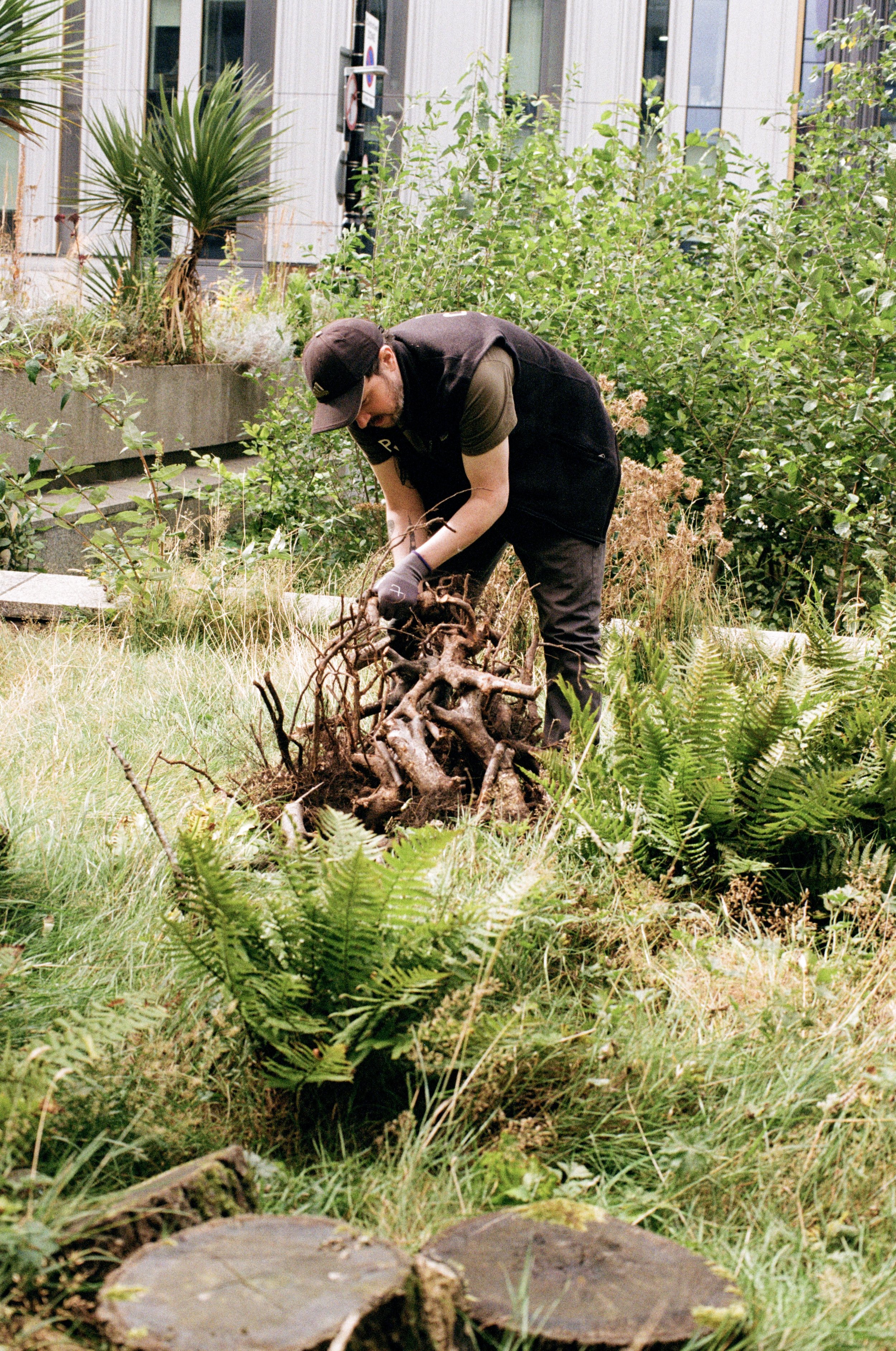 Wildlife Gardening Club “Deadwood”