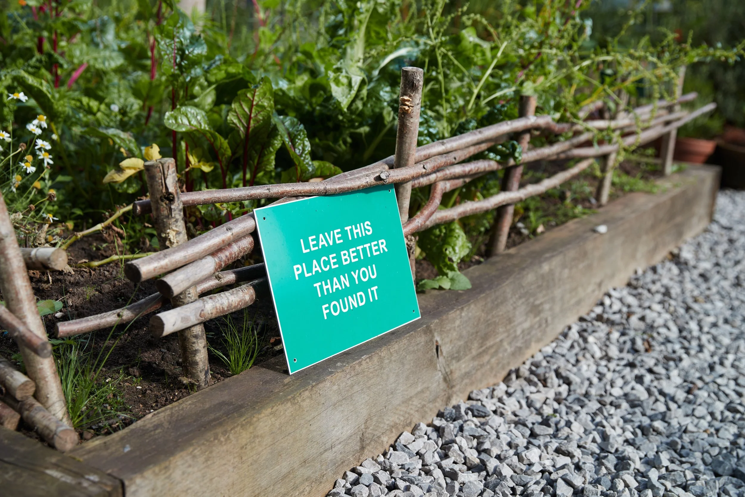 Community Food Plot - Volunteering Sessions