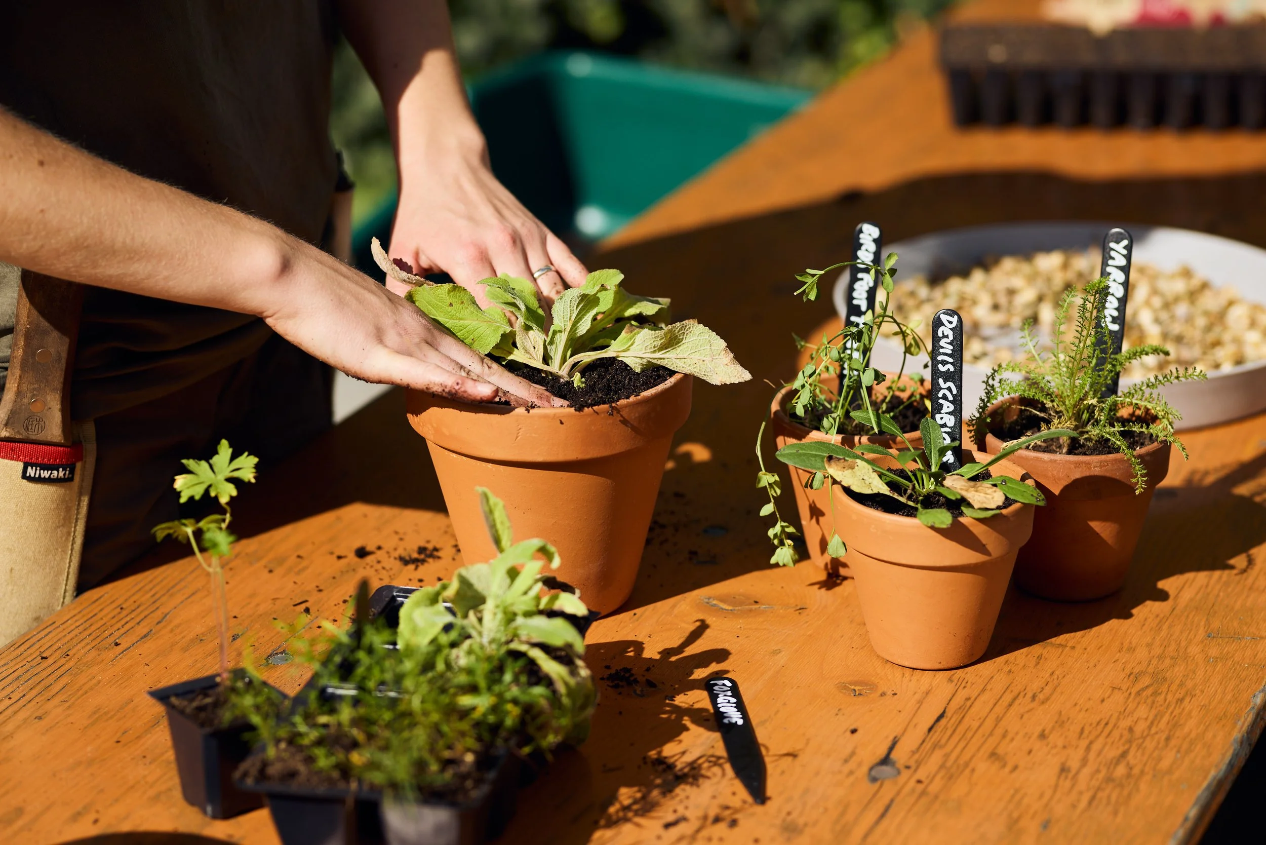 Balcony Basics Workshop (National Trust)