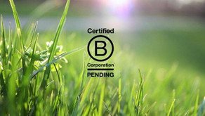 So what’s this B Corp thing all about?