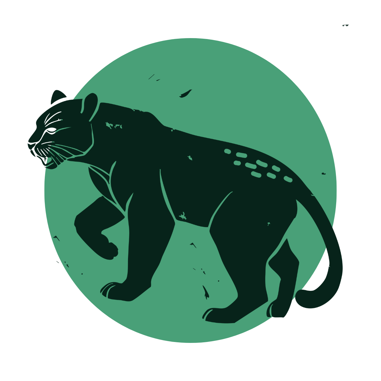 Green circle with black cheetah graphic