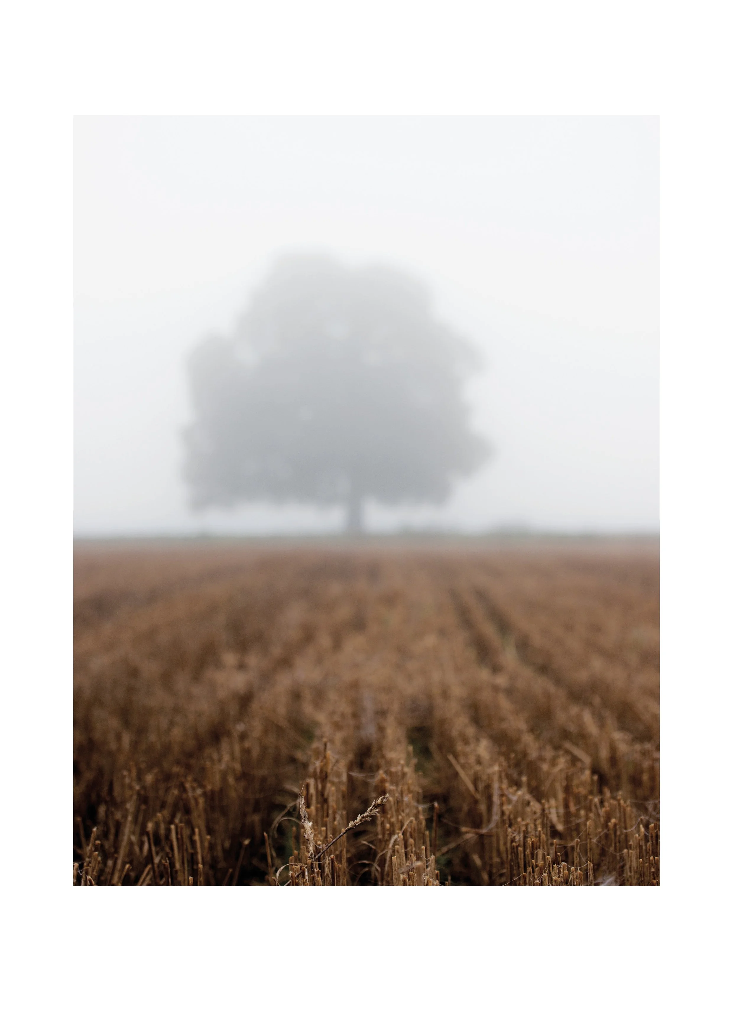 Loved_ebook_2026_vol01-2.jpg (Copy)