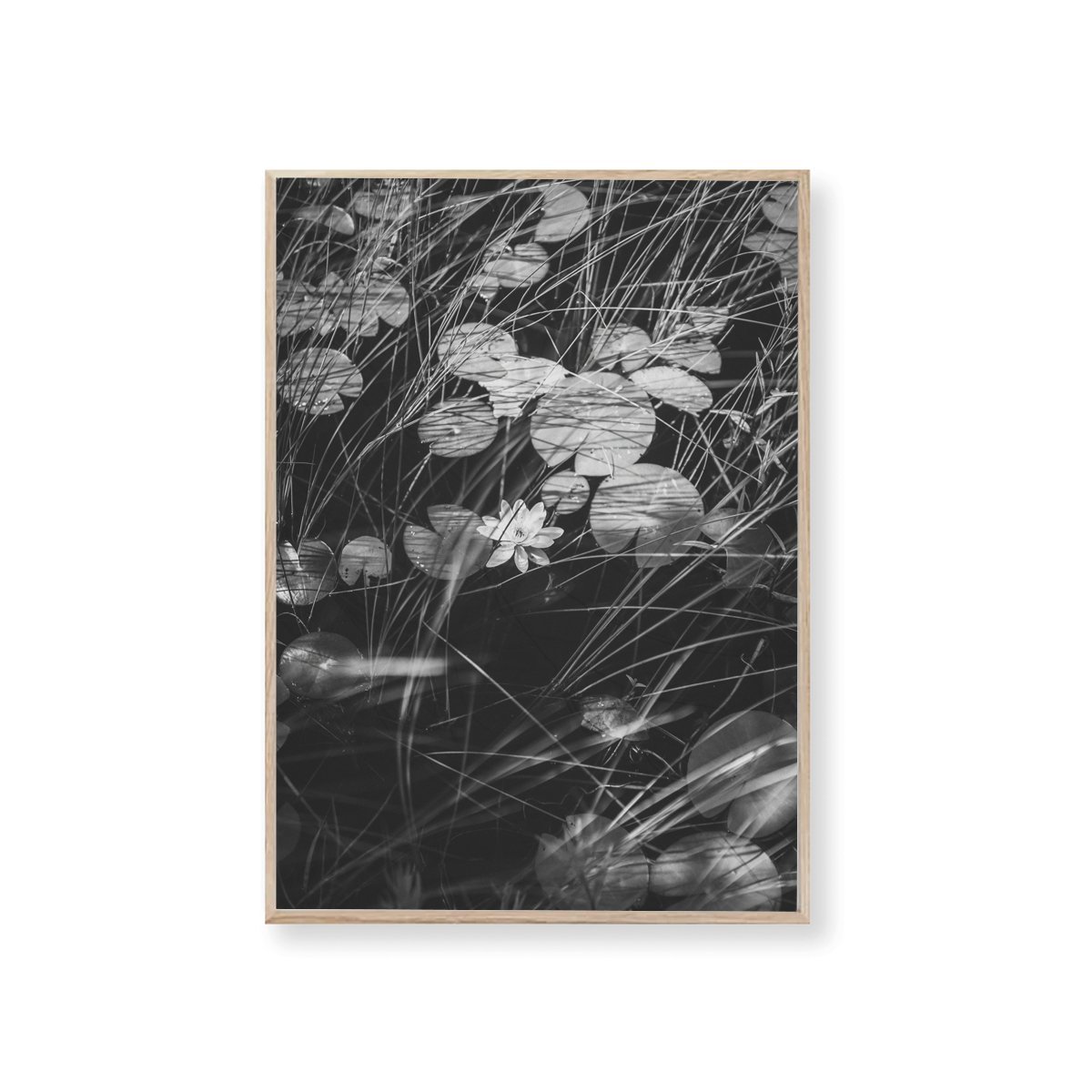 plakat_medramme_lilies.jpg