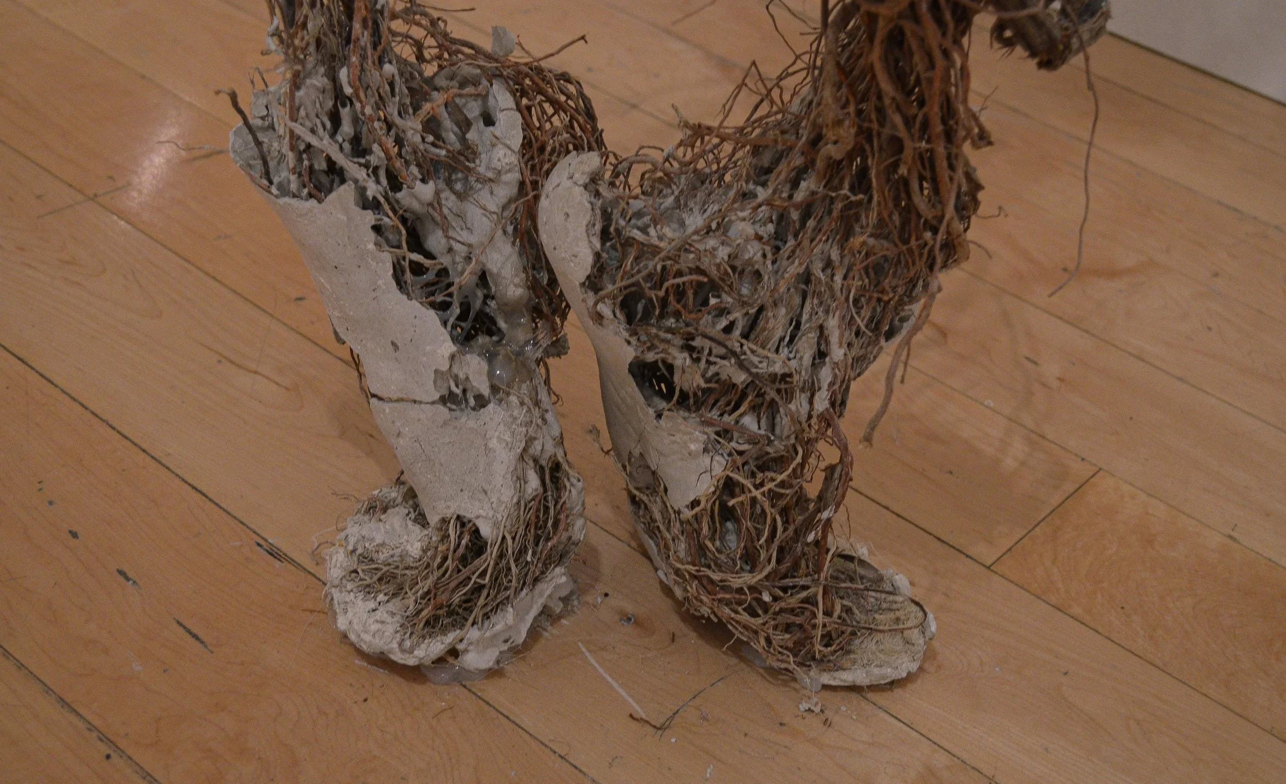 roots