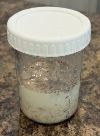 Morning Joy Overnight Oats