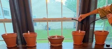 My Indoor Herb Garden
