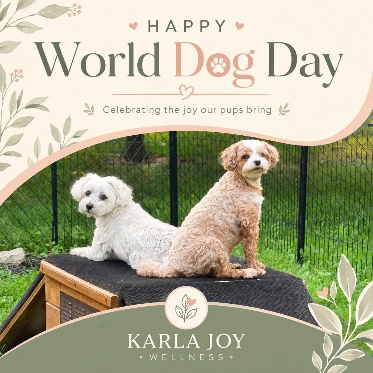 Happy World Dog Day! 🐾💛
These two little faces bring so much JOY into our home every single day. 🥹 There&rsquo;s just something about dogs&mdash;the unconditional love, the companionship, the laughs, and the way they somehow know exactly when you 