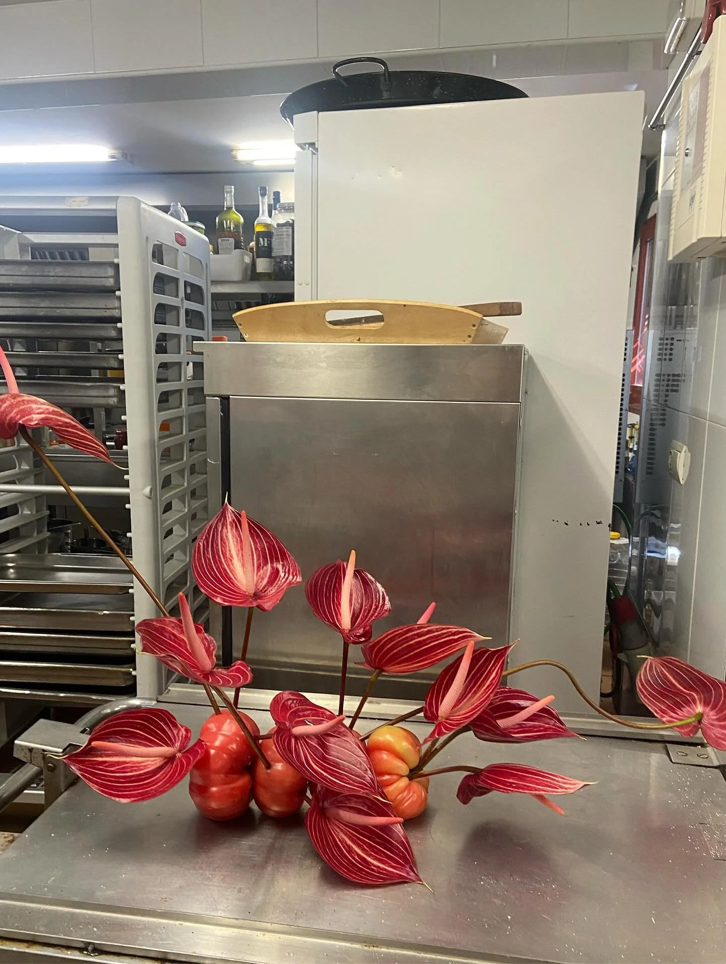 Tomato Safari 🍅

Kitchen prep at @cellermartinfaixo 🍆🫑