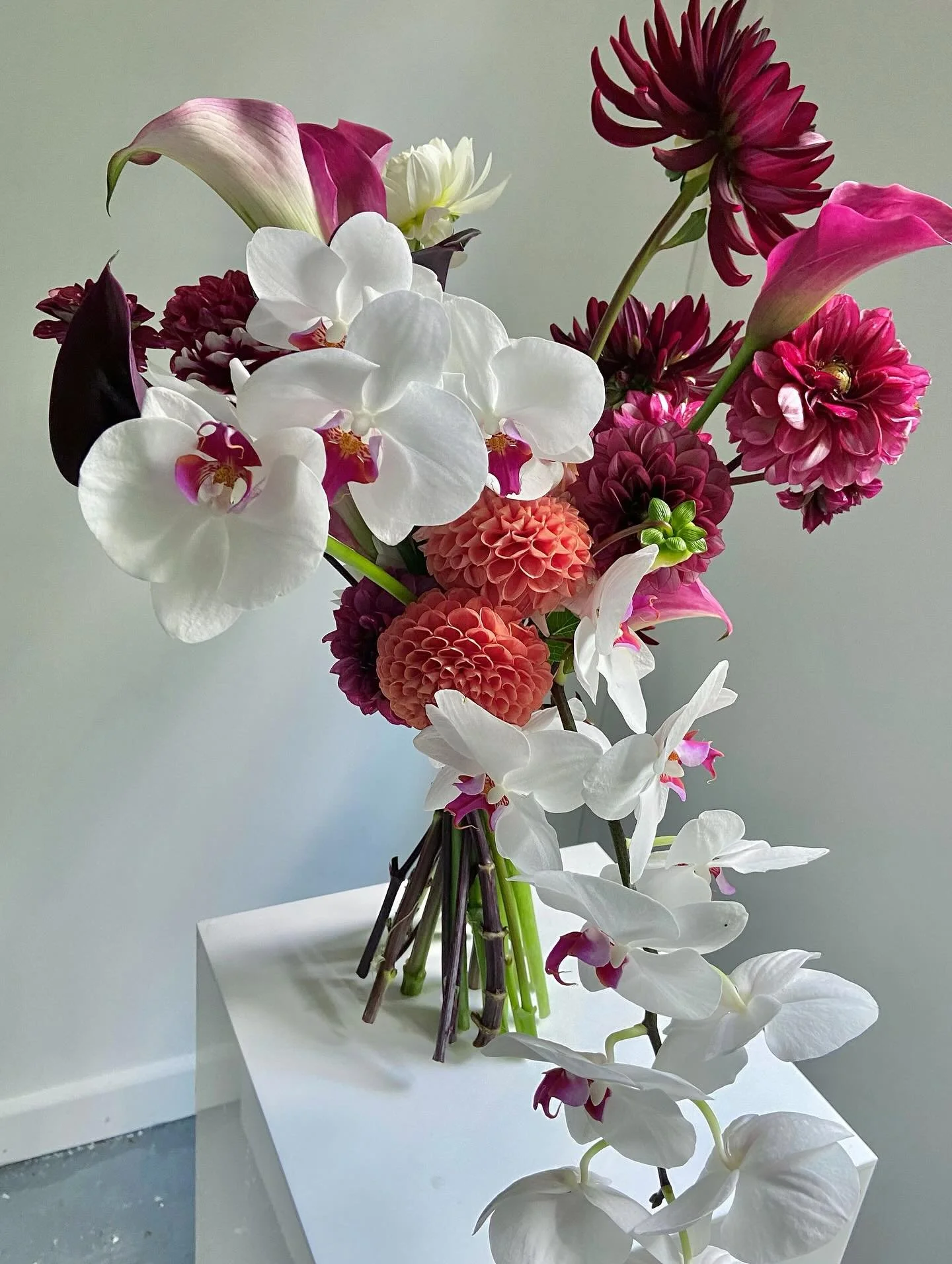 Dahlia + Phal ❣️For Robyn