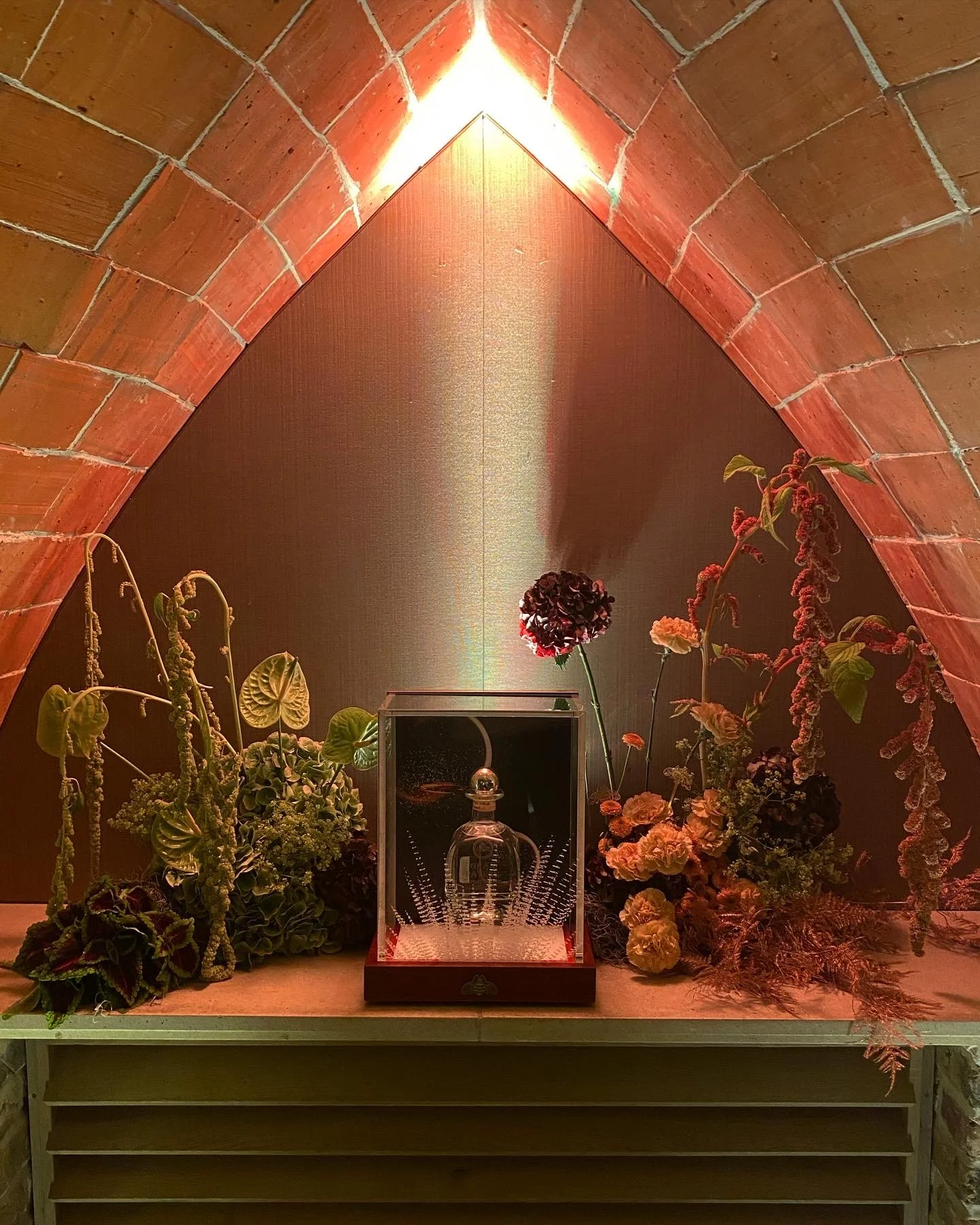 F257CB3D-1371-4257-8801-2A17CCC3507D 2.JPG