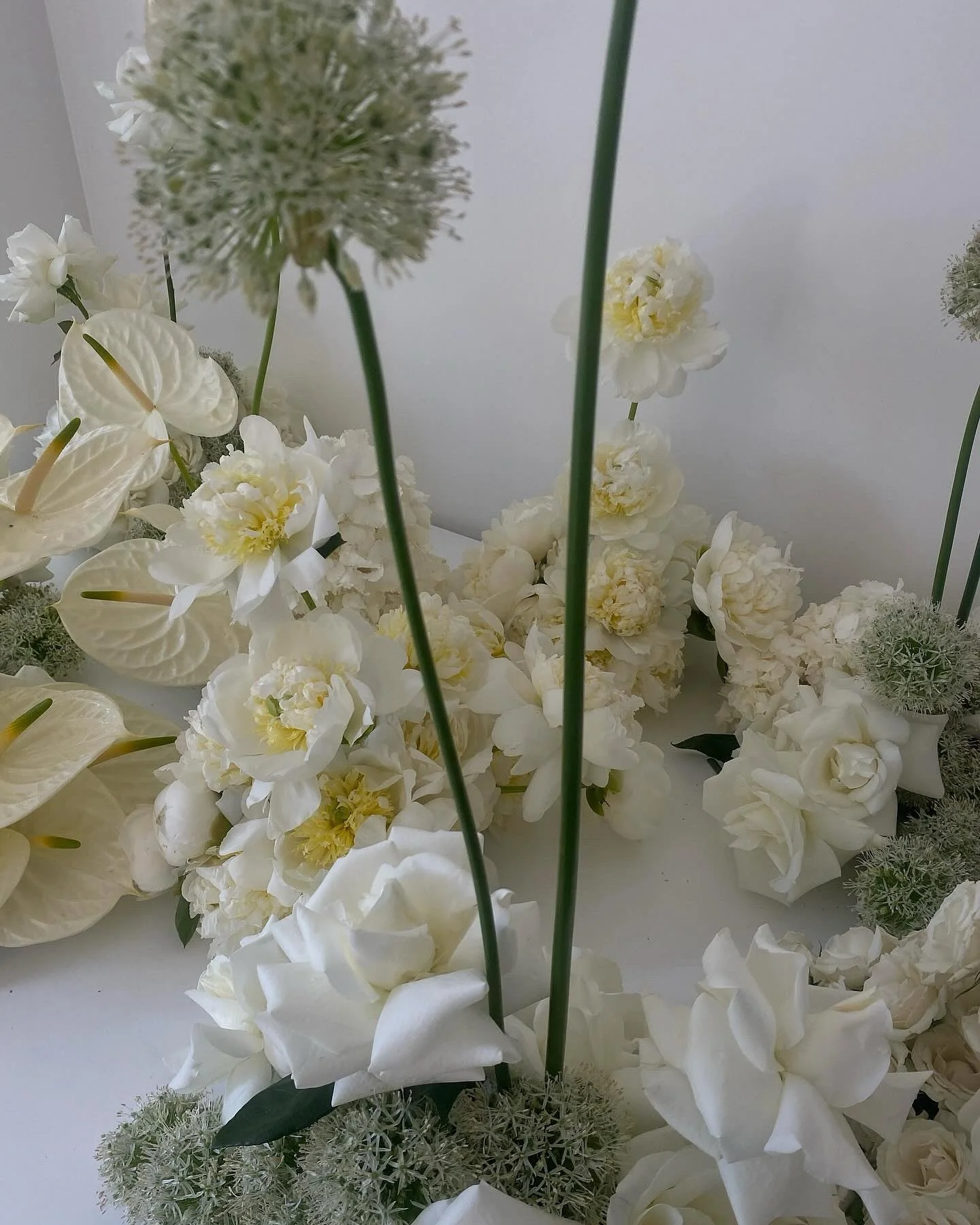 58E0336E-CB8E-430F-A6DD-6654EC50E883 3.JPG