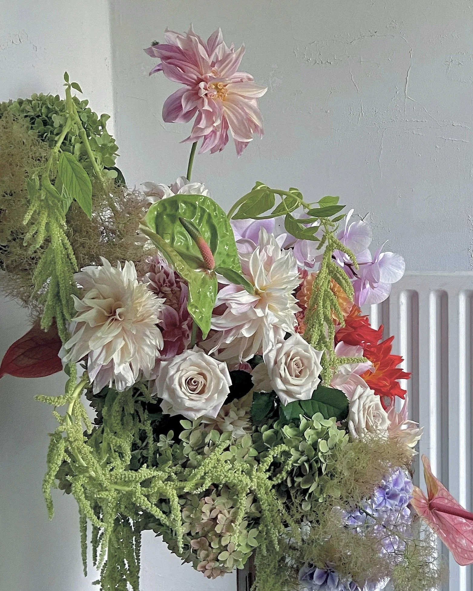 C69EE979-2029-4B6E-89DF-087027AA5BF0 3.jpg