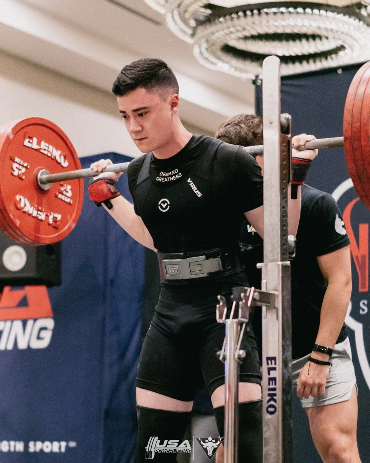 image_6487327 (7).JPG