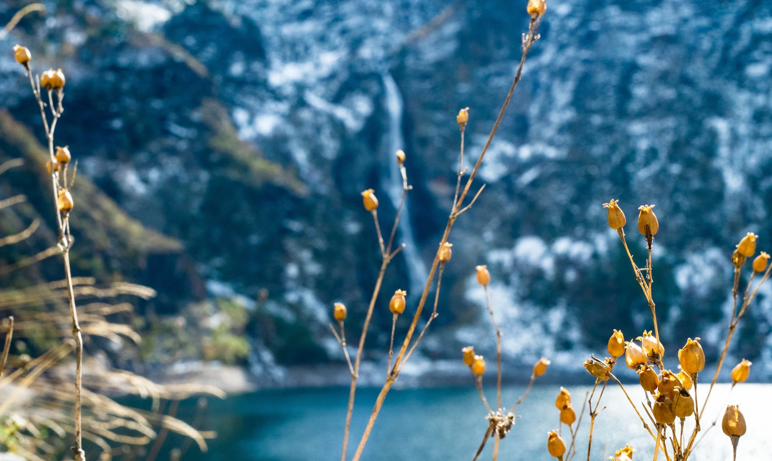 Belle Nature : paysage et architecture