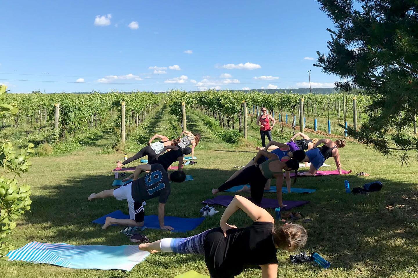 There&rsquo;s still time to sign up for Outdoor Yoga @happyvalleywinery today at 4:30pm! Community, nature, yoga, live music - TGIF!

Sign up at www.YogaLabStudio.com

#yogalab #sunnygetup #happyvalley #statecollege #rediscoverstatecollege #happyvall