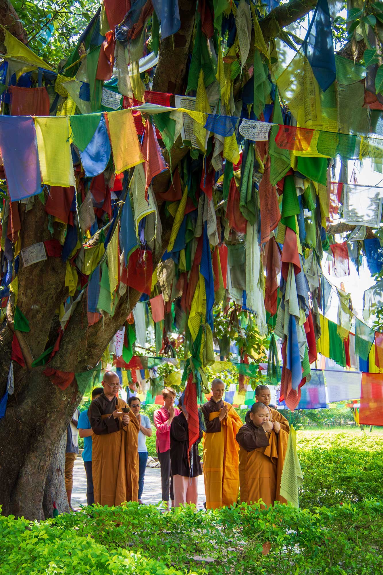 Lumbini, Nepal, the birthplace of Siddhartha Gautama, the Buddha. The monks were conducting a dharma transmission ritual for several pilgrims. See my Buddhapath album for more images from this pilgrimage.