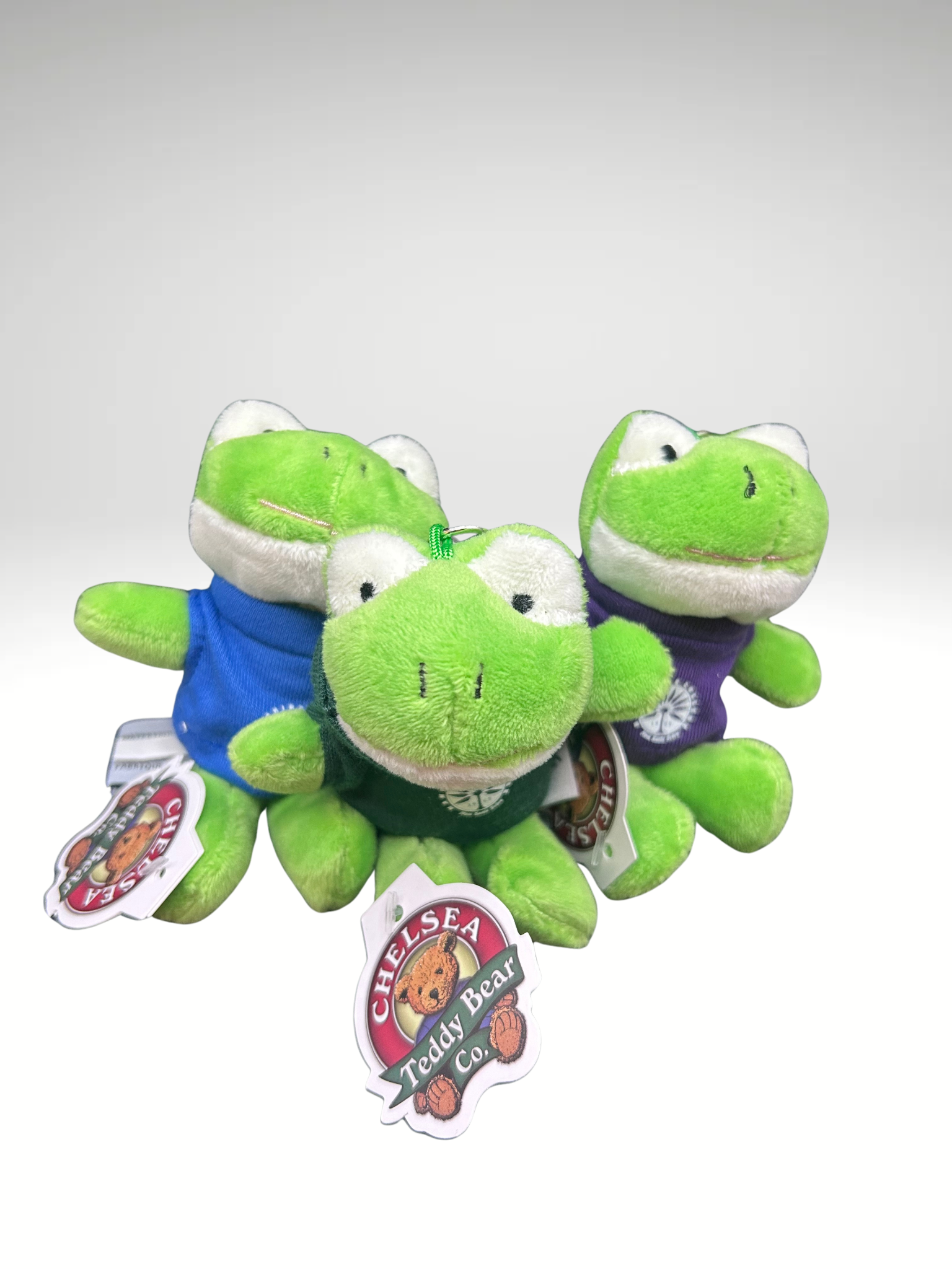 Little Froggy Keychain