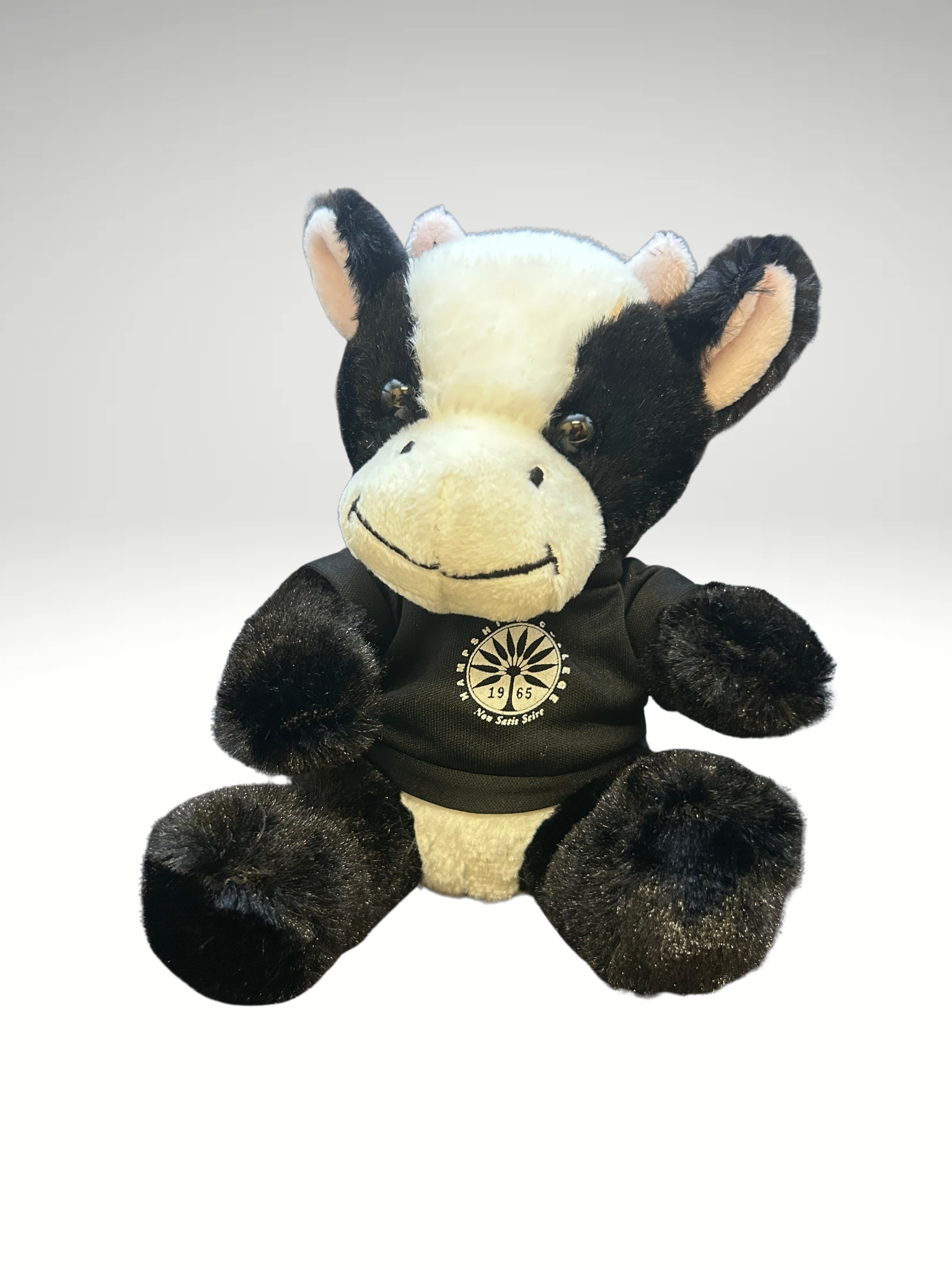 Untitled design(11).png