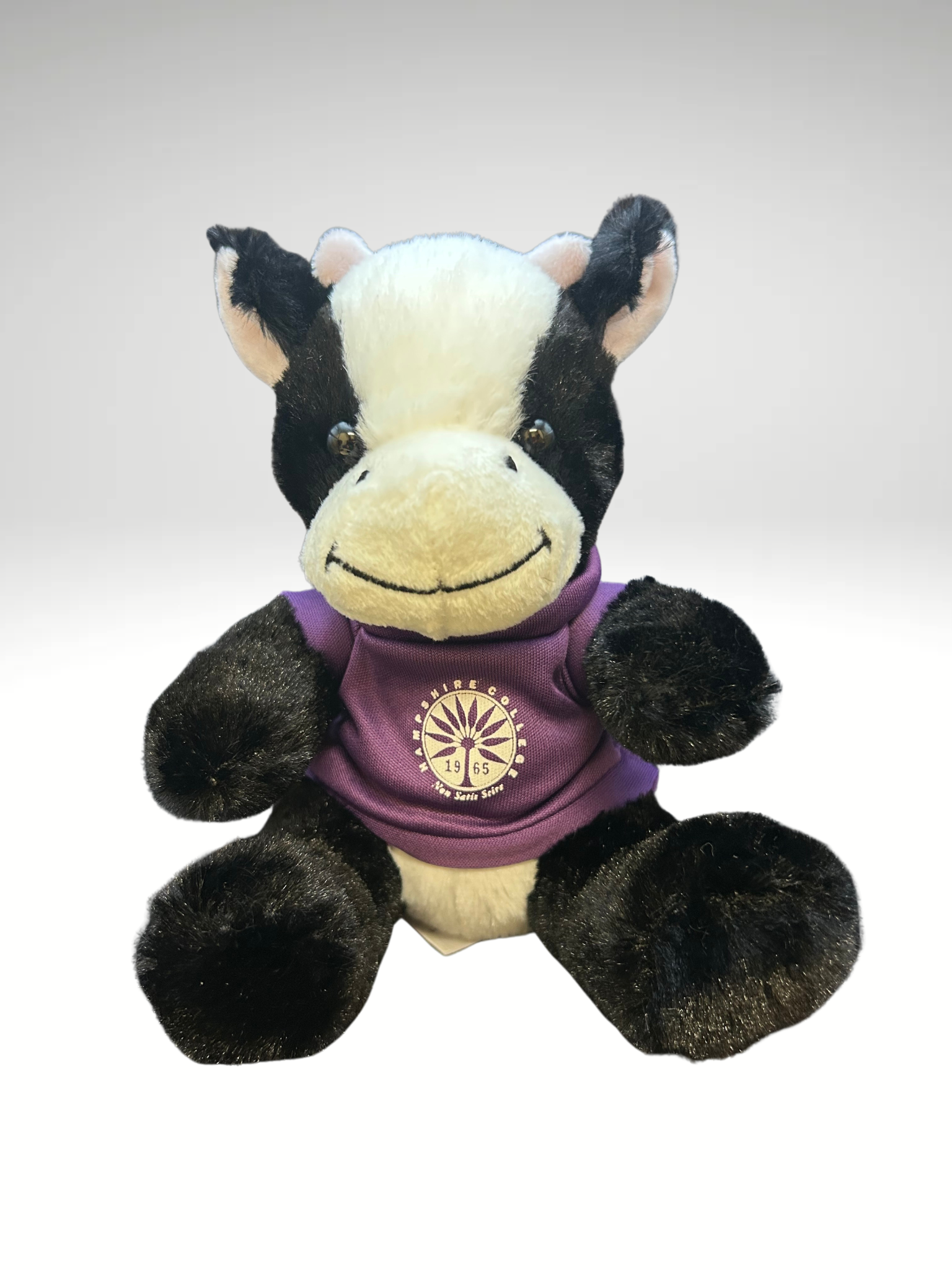 Untitled design(9).png