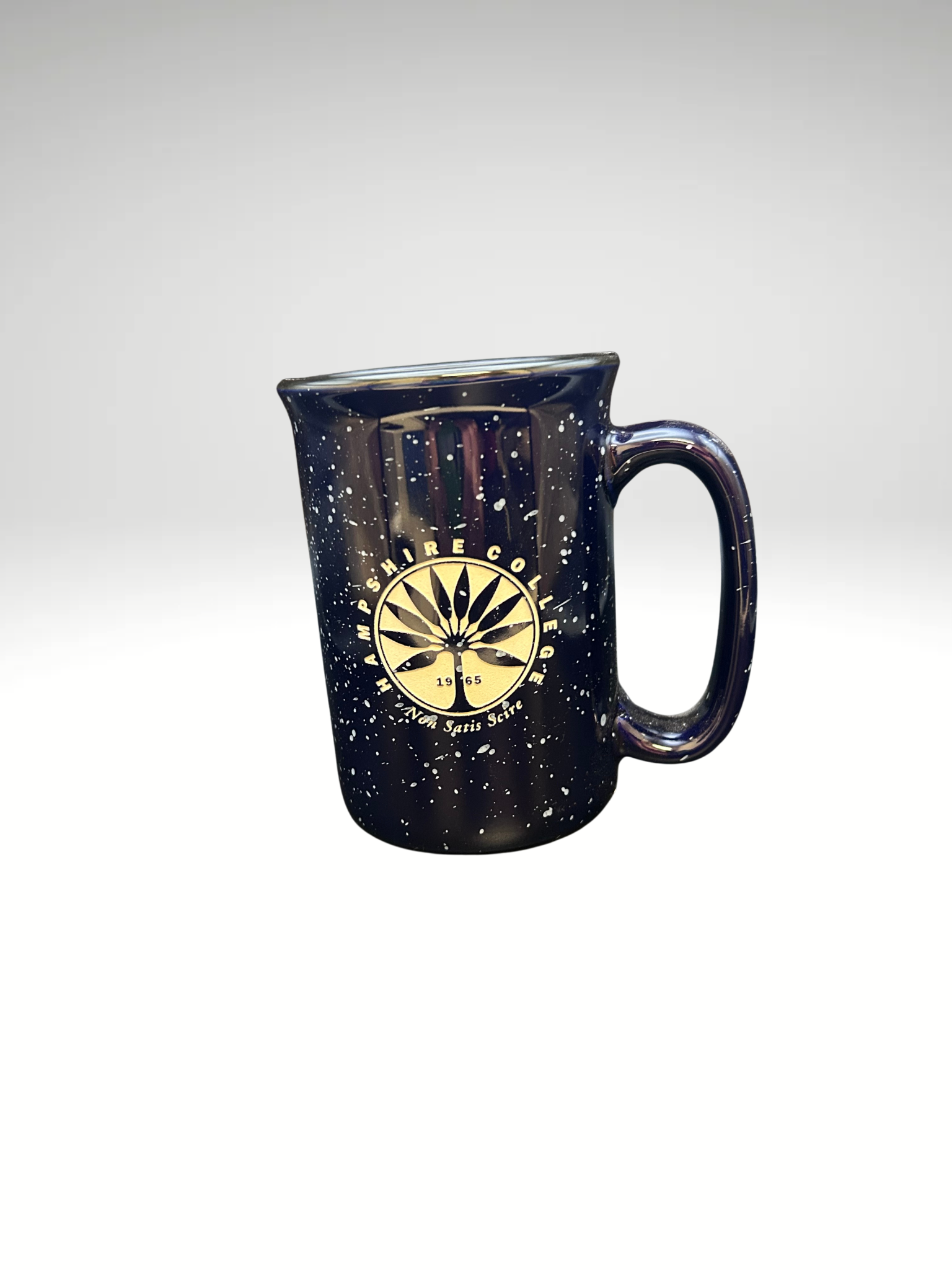 Untitled design(25).png