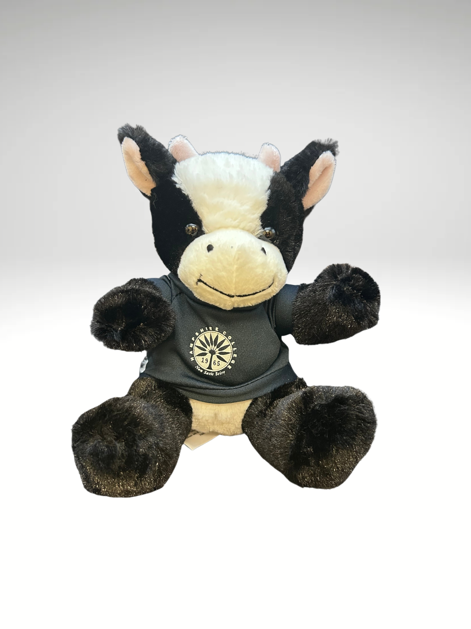 Untitled design(10).png