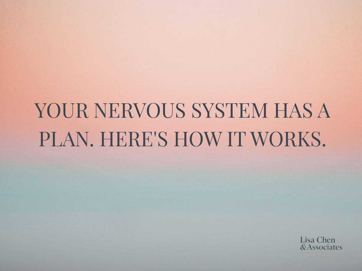 Your Nervous System Has a Plan. Here's How It Works.