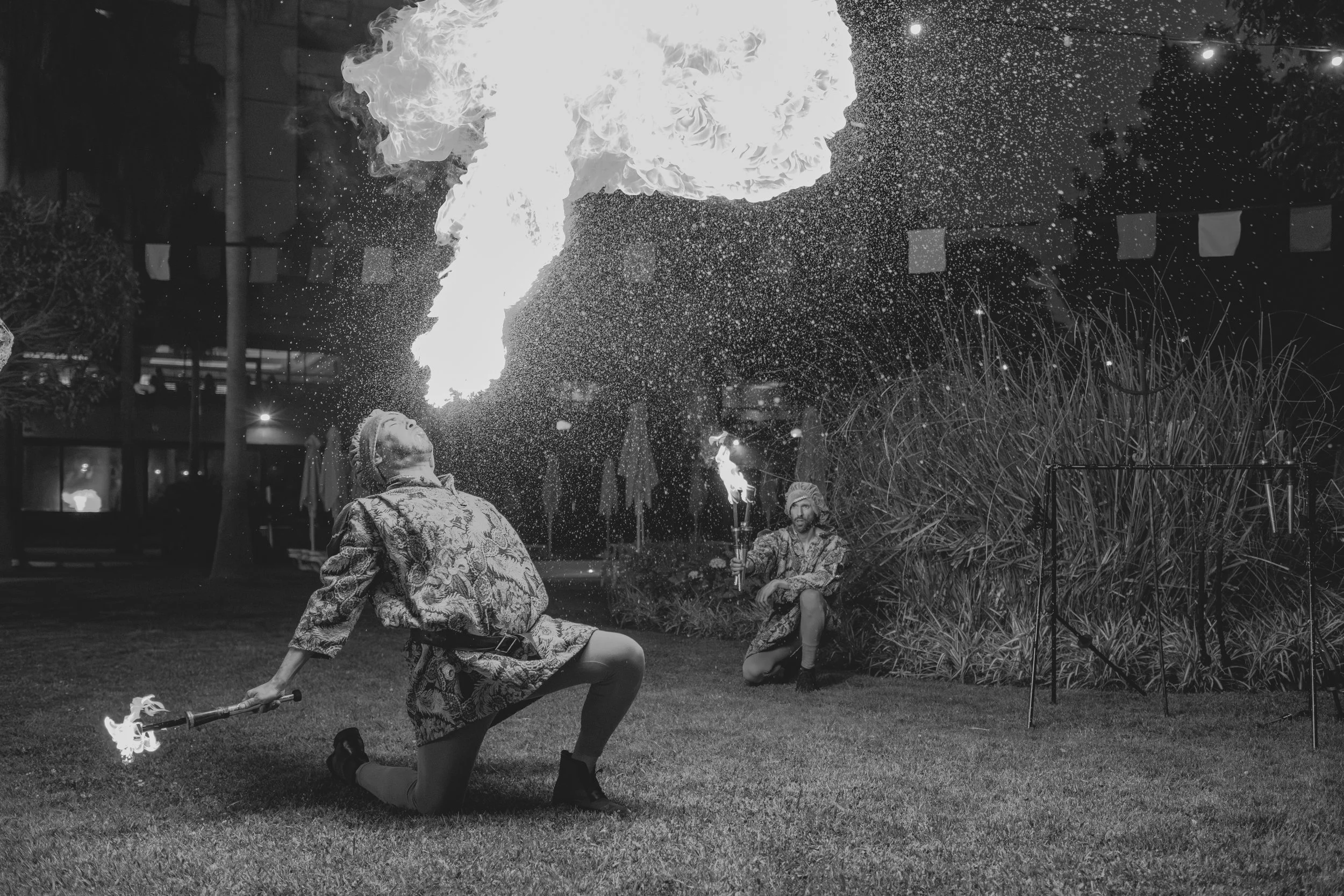 The Flame Whisperer