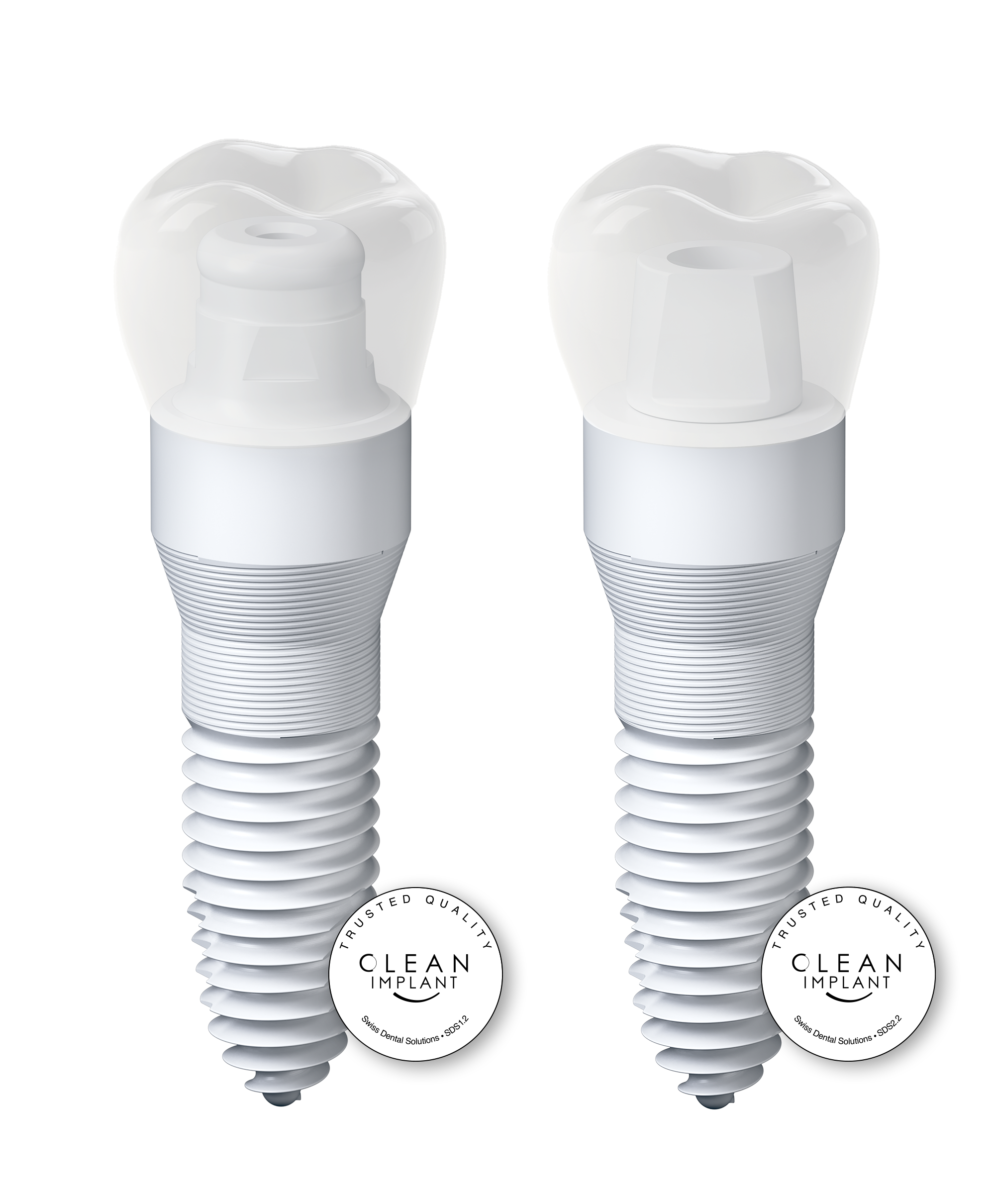 Non-Metal/ Ceramic Dental Implants