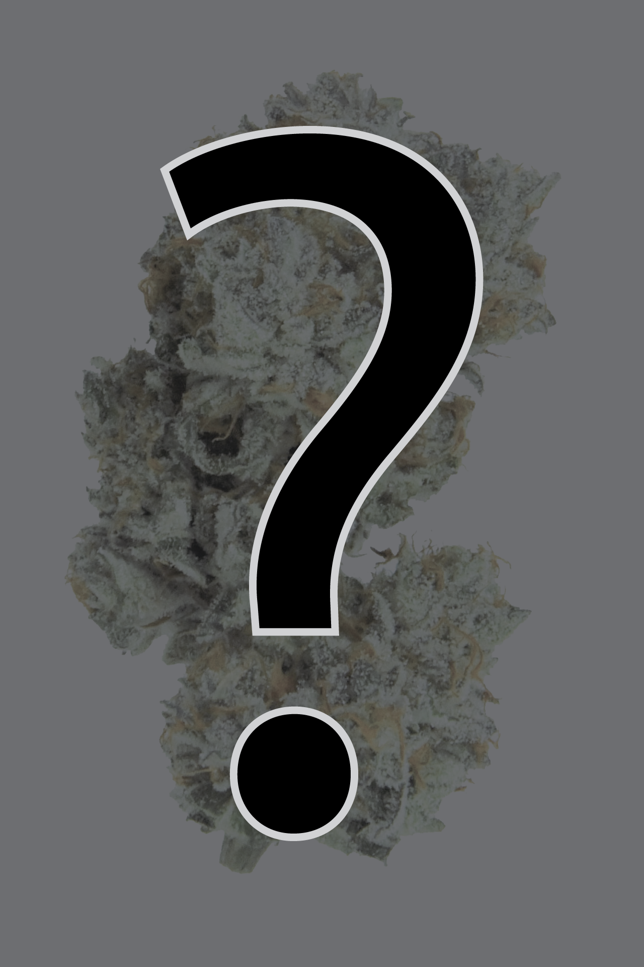 Tropical Zkittlez - Flower — Rolling Green Cannabis