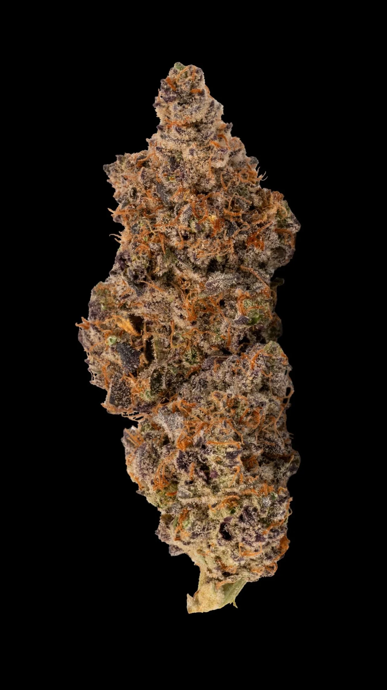 Banana Cream Jealousy Flower — Rolling Green Cannabis