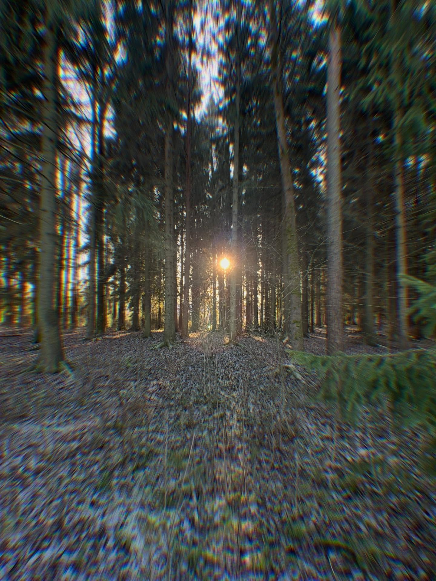 "The November side chapel is the harshest, the harshest,
and year by year I grow more and more attached to it.
I sometimes drop in there in the middle of everything, stealthily,
when the procession of days wanders in the vault of spring.
Nothing but grey, almost always dark...