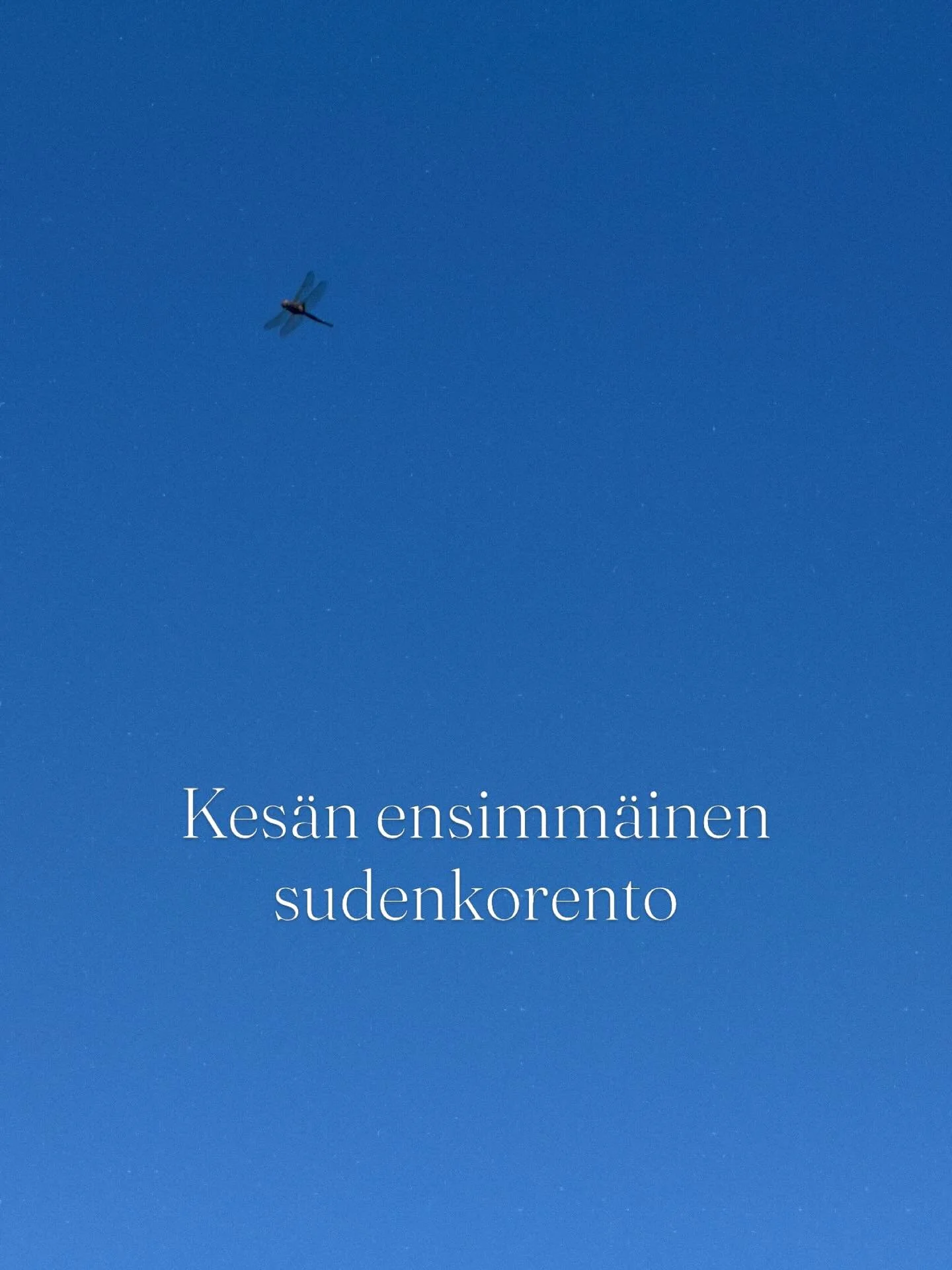 Viikonlopun satoa 🍀

#mets&auml; #m&ouml;kki #woods #reset #rest