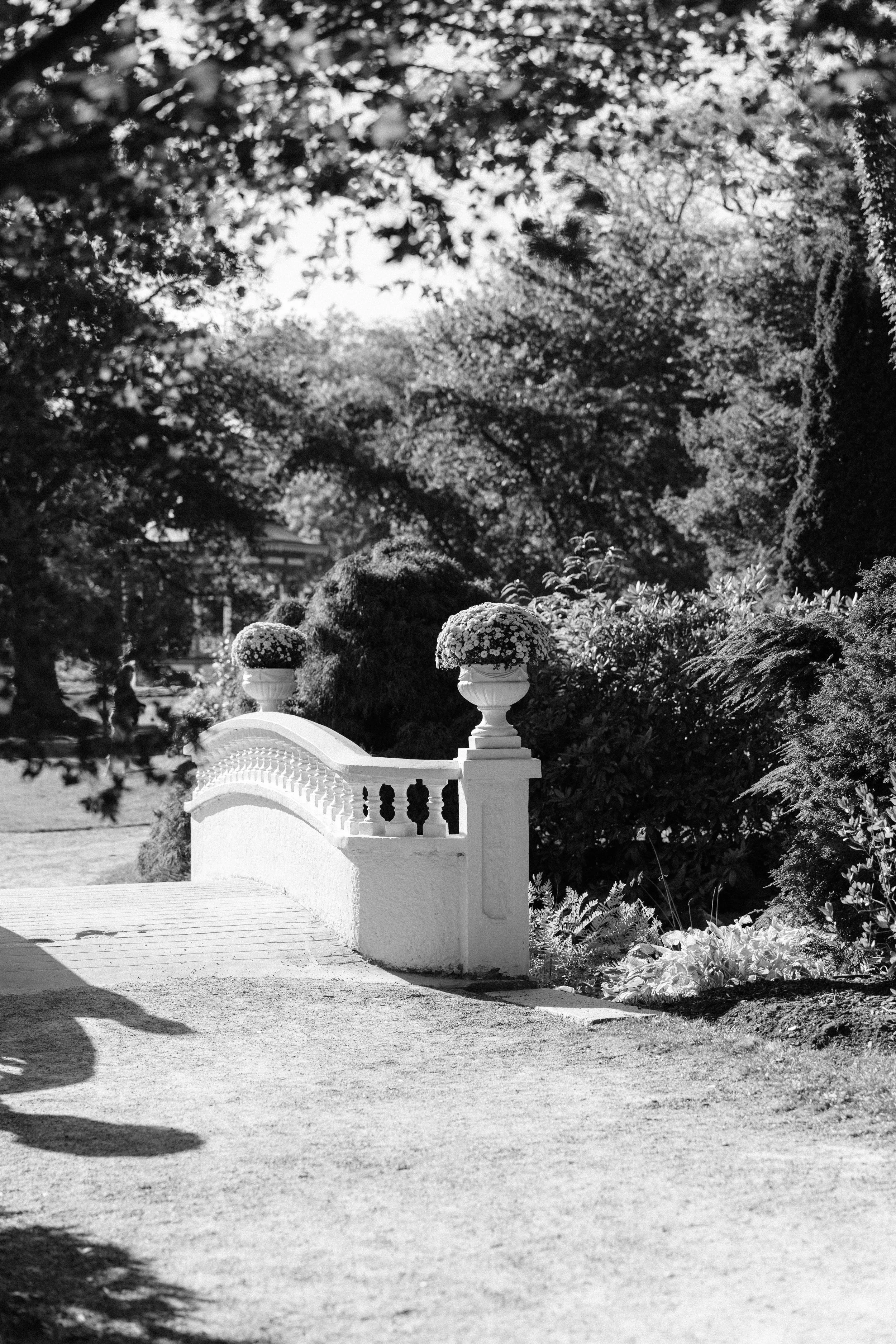 224_1711.jpg