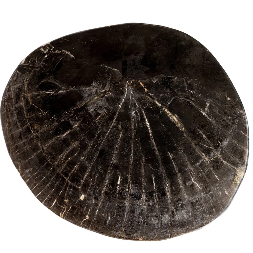 HPF227708_2-1.jpg