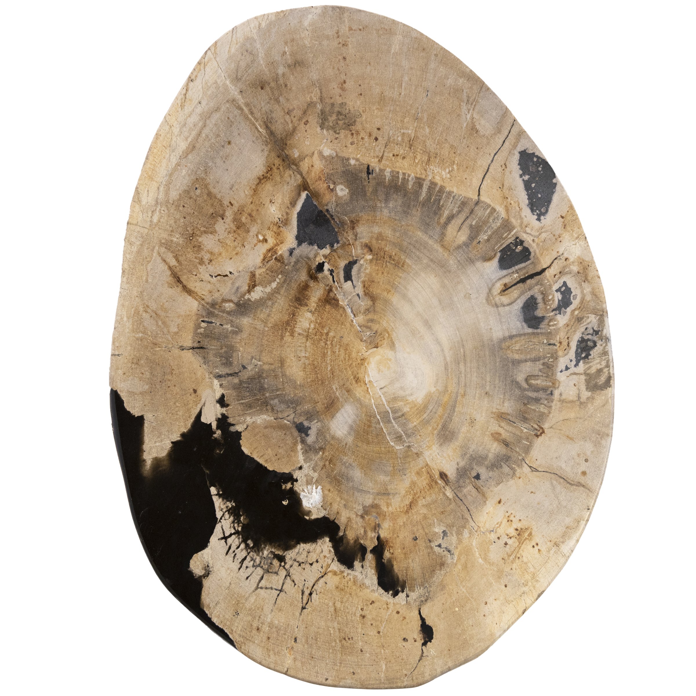 HPF238018-3.jpg