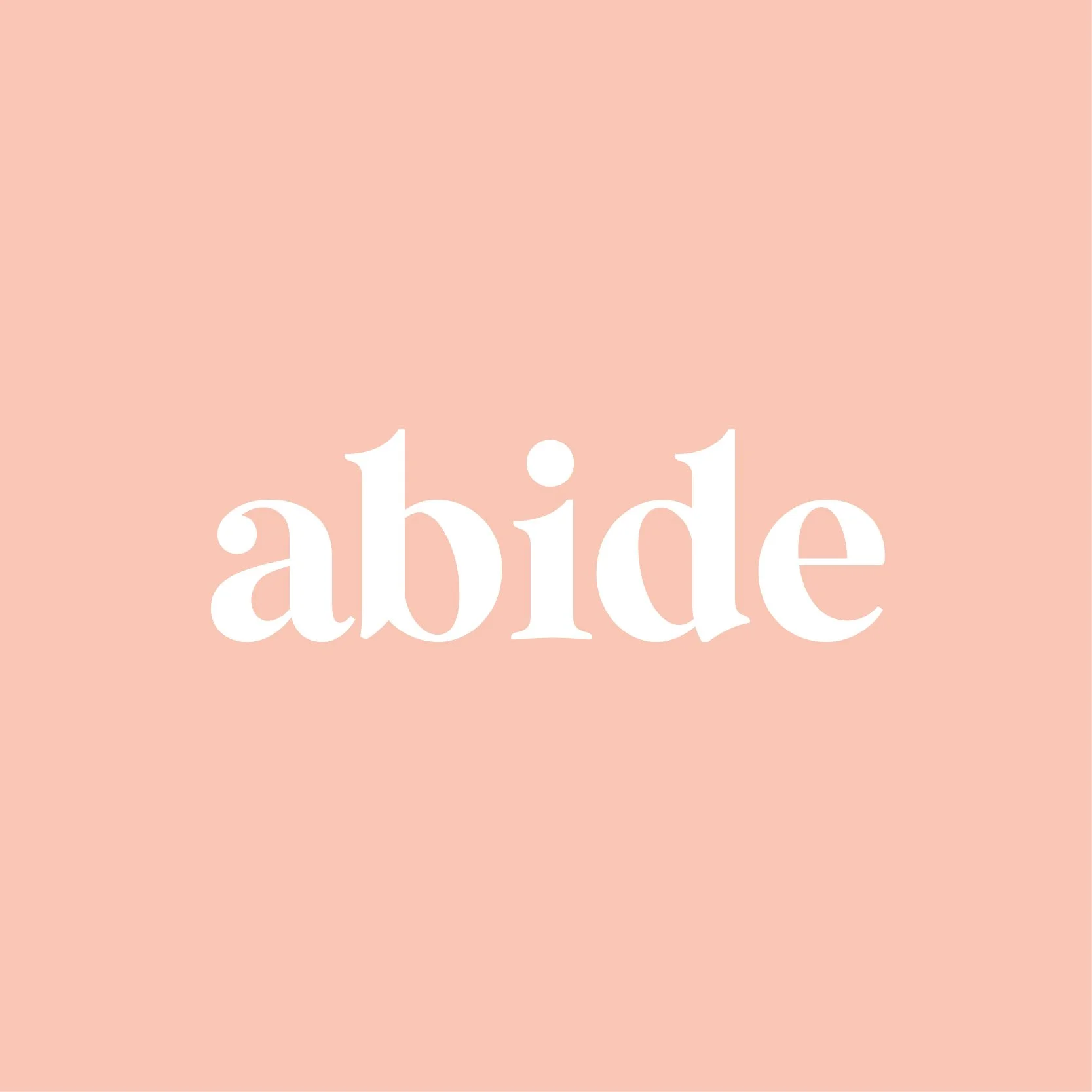 ABIDE SMALL GROUPS