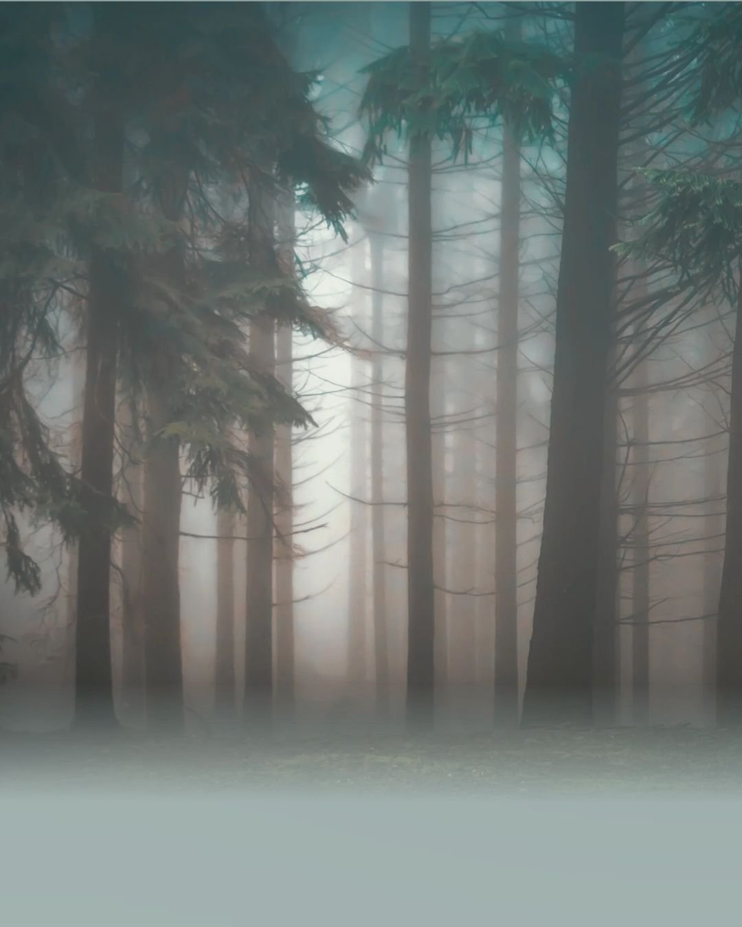 Shame Out Loud: Beyond the Worst Thing That Ever Happened to Us