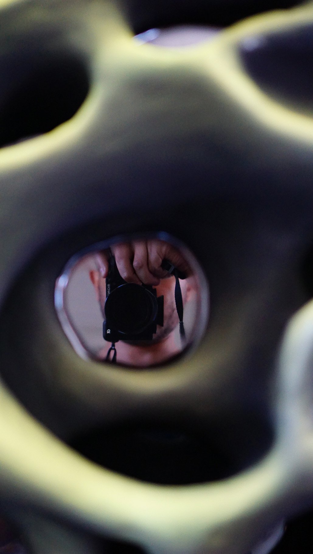 Cenote reflection.jpg