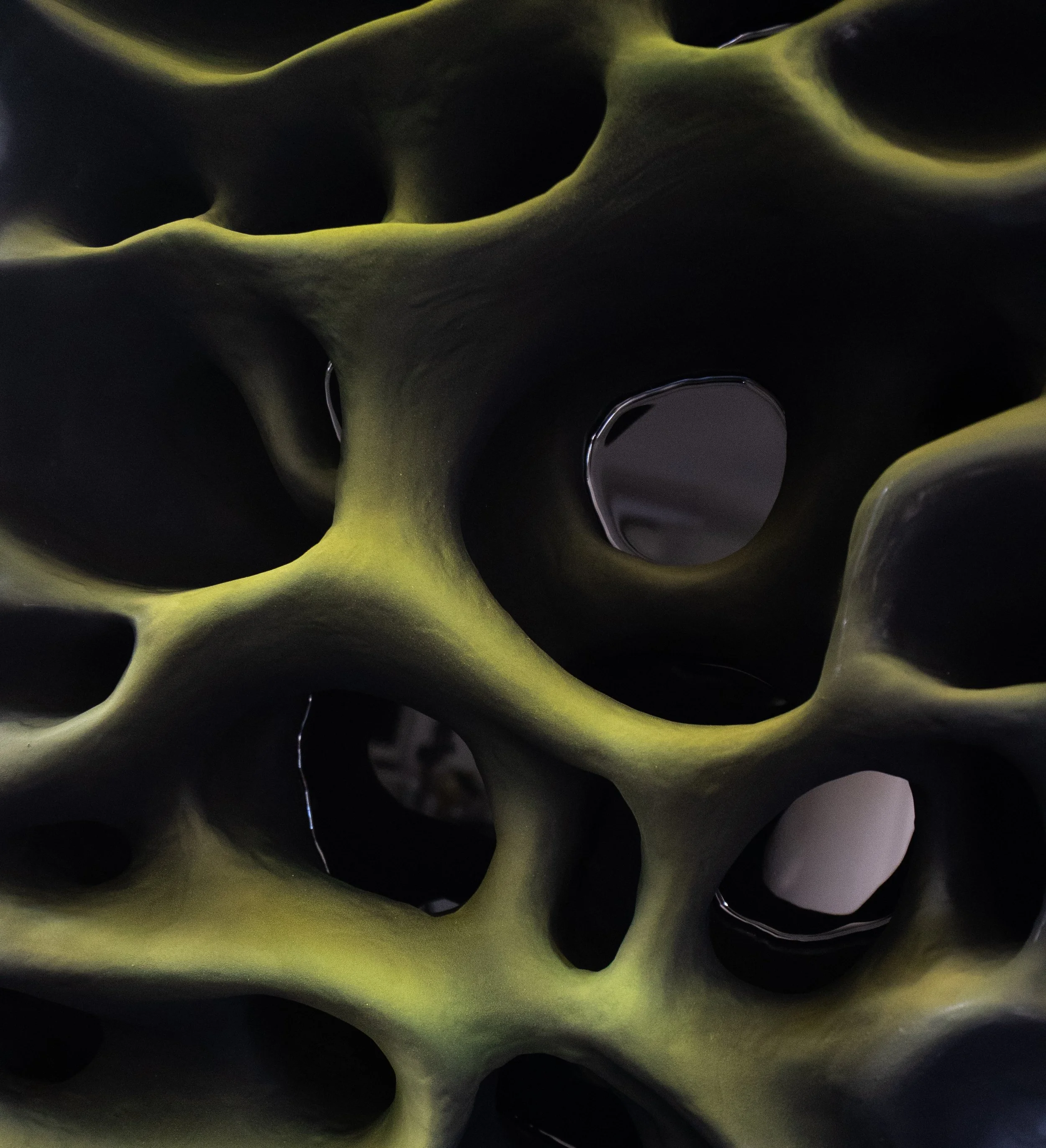 cenote reflection 1.jpg