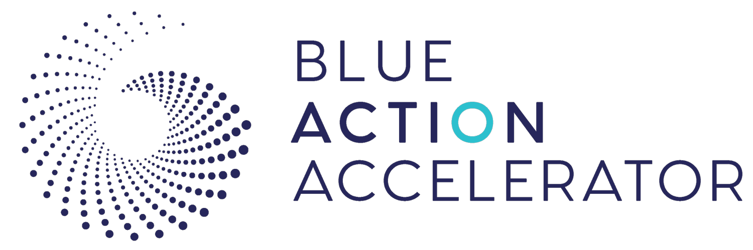 Blue Action Accelerator