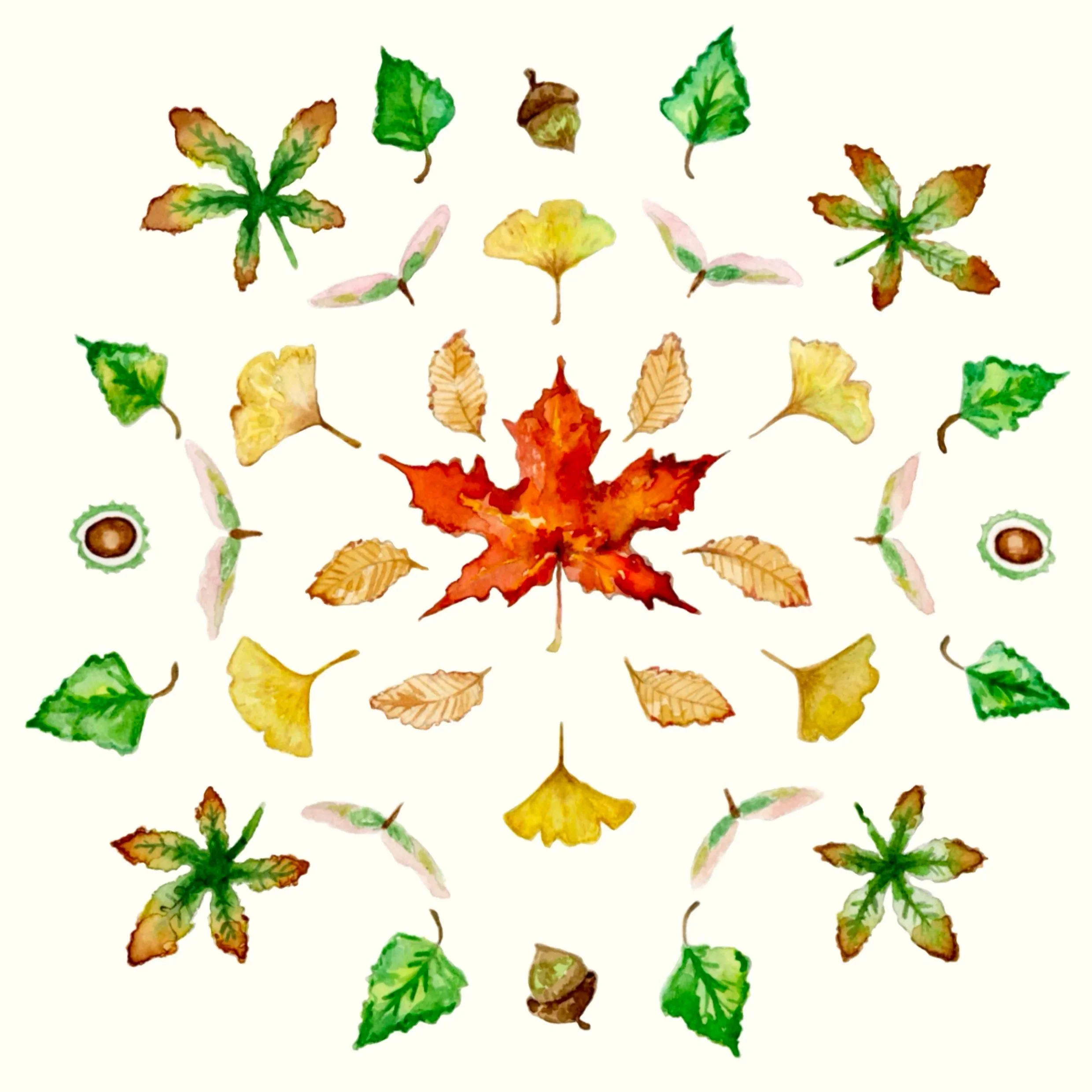 Untitled_Artwork+leaf.jpg