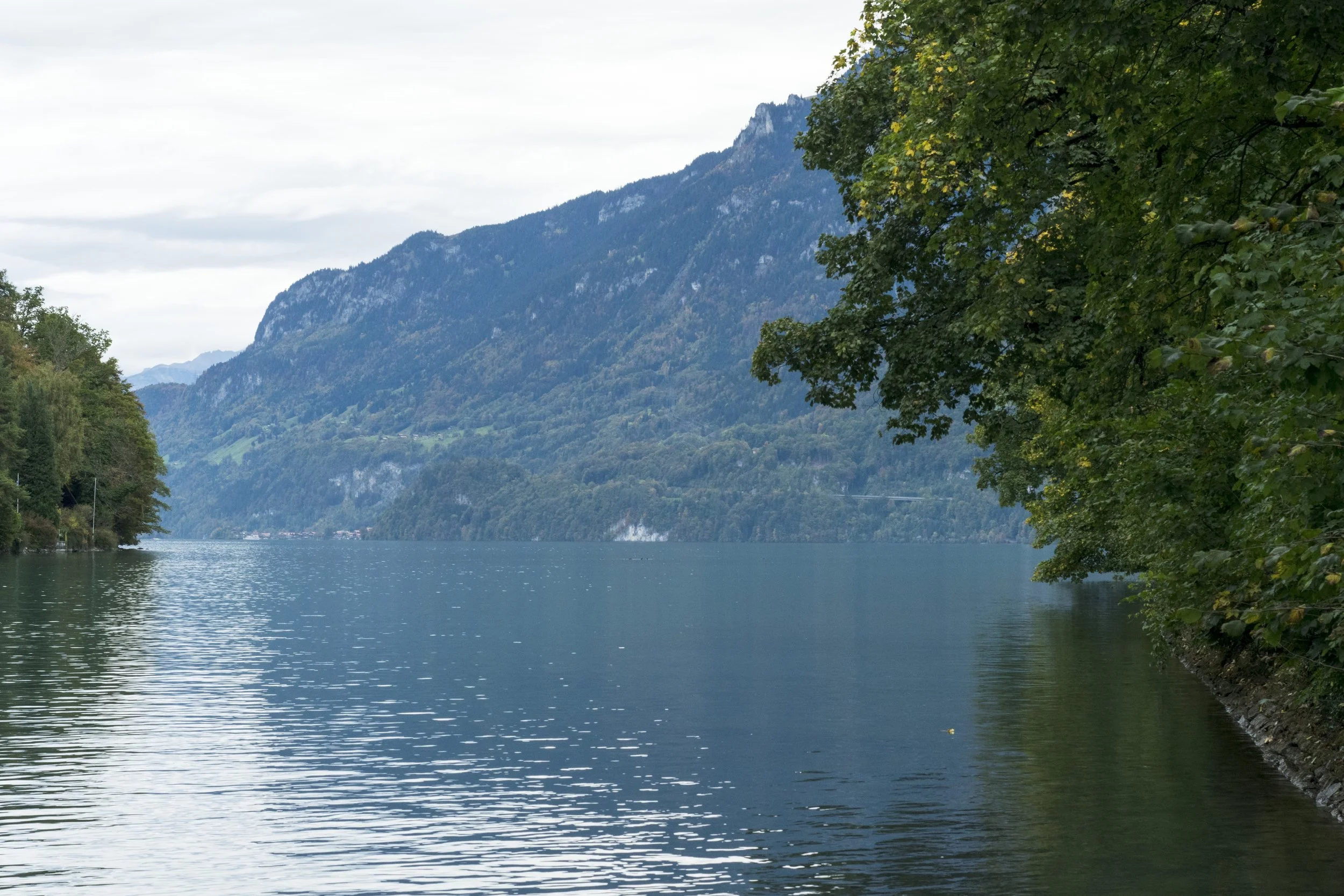 Swiss Lake.JPG