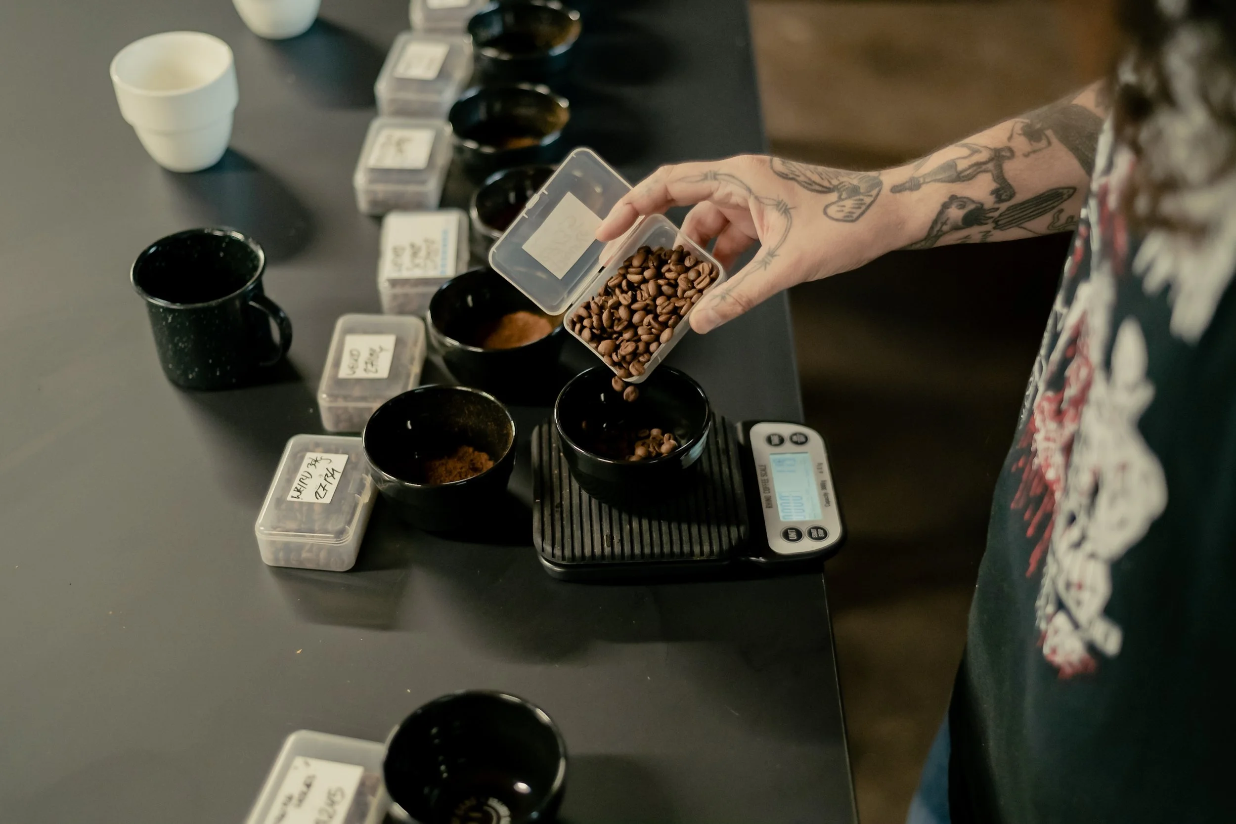 DAC x Typica-24.jpg