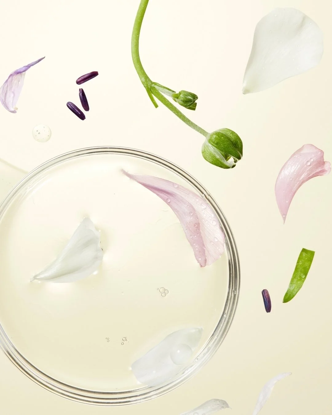 Ingredient for @evahairnyc

Creative Direction @miscelanea.studio
Producer @nadifanci
Assistants photographer @aljosaa (digi-tech), @emilyvgilbert, @_maximeguay &amp; @mylenecastilloux (light)
Set Designer @evelynemorin_ assisted by @cabegin &amp; @o