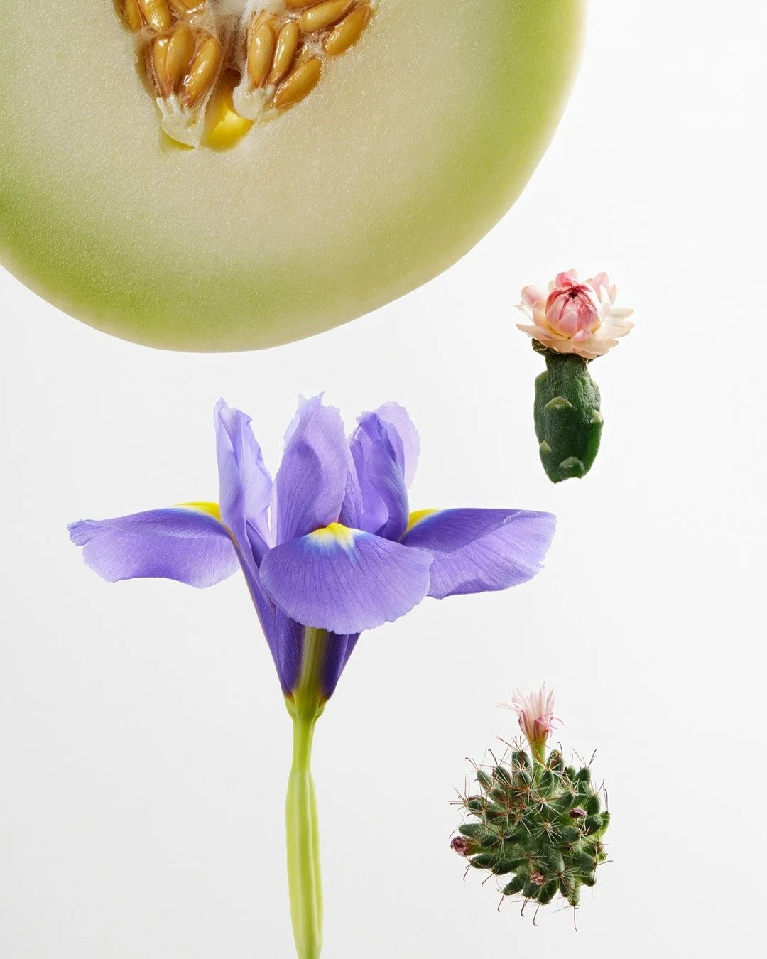 Eva NYC
Production & Photography by @byupclose
Creative Direction & Art Direction Eva NYC
Producer @nadifanci
Co-Producer Nirav Patel
Assistants photographer Pascal Frechette (digi-tech), @emilyvgilbert, @_maximeguay, @mylenecastilloux &