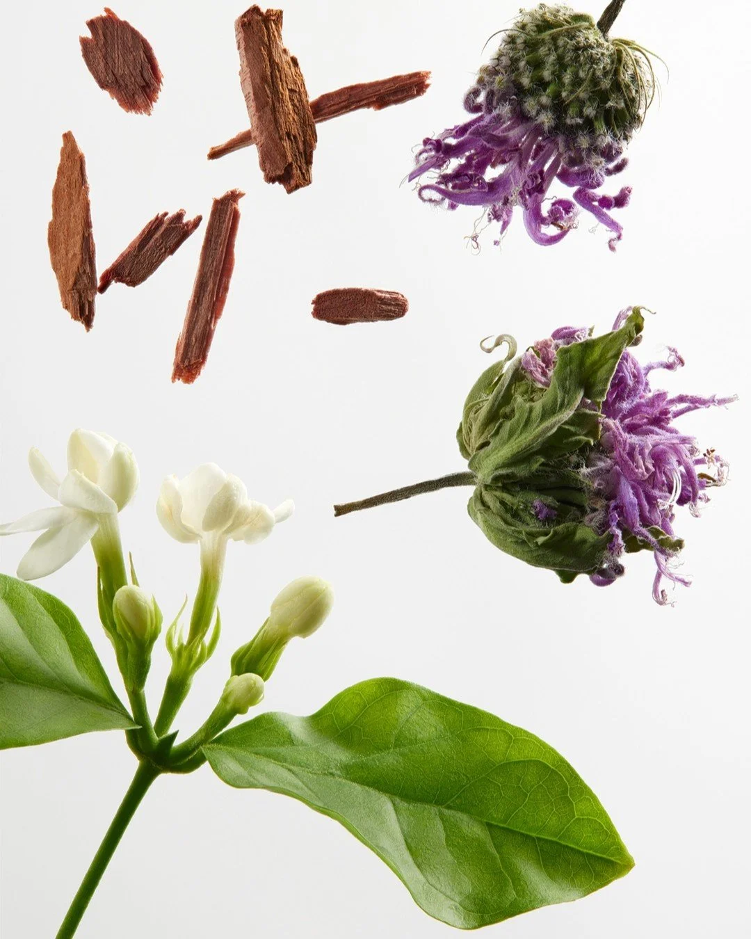 Scent

Production &amp; Photography by @byupclose

Creative Direction &amp; Art Direction Eva NYC
Producer @nadifanci
Co-Producer Nirav Patel
Assistants photographer Pascal Frechette (digi-tech), @emilyvgilbert, @_maximeguay, @mylenecastilloux &amp; 