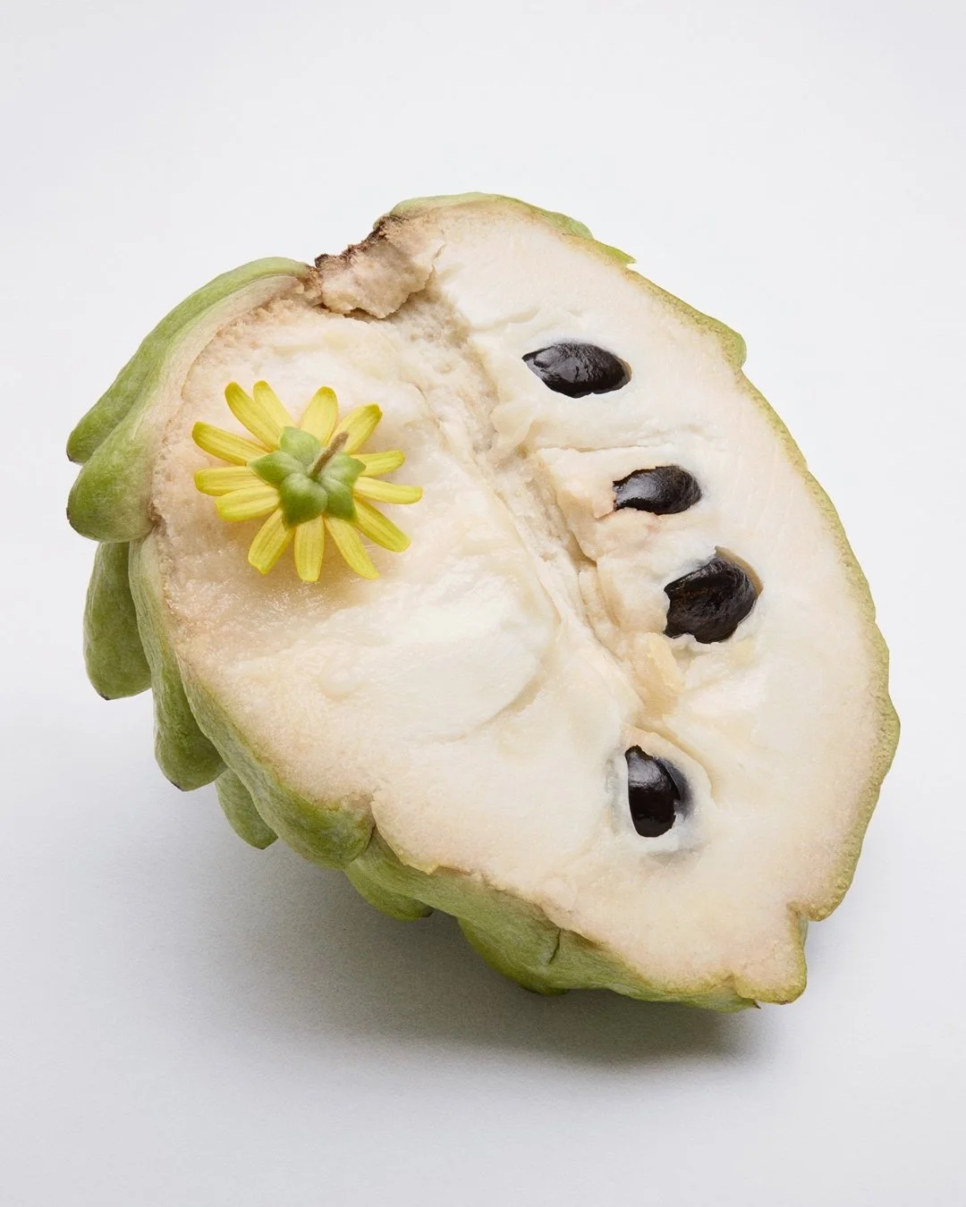 Art direction and Photography @byupclose 
Prop styling @lisa.cyang
Assistants photographer @emilyvgilbert 
Retouched by @mellapointe