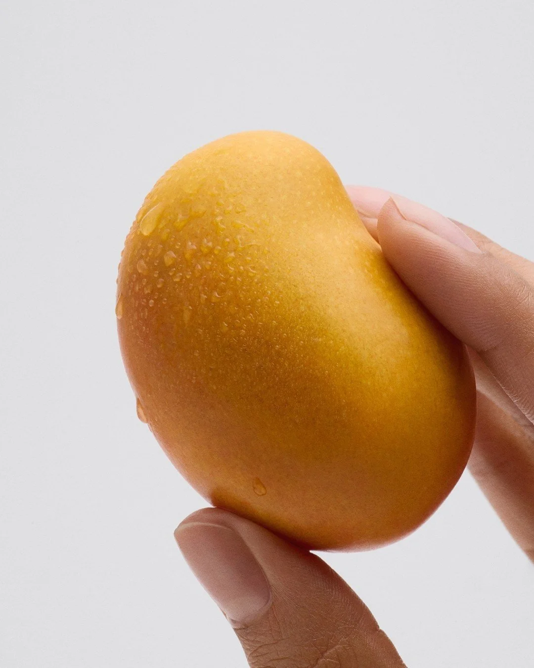 Art direction and Photography @byupclose 
Prop styling @lisa.cyang
Assistants photographer @emilyvgilbert 
Retouched by @mellapointe