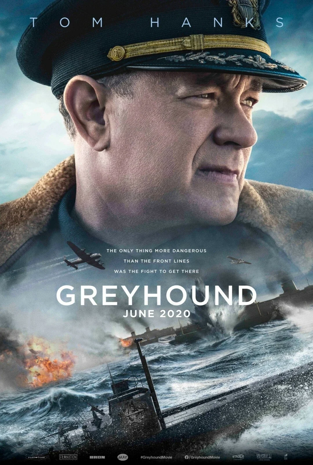 Greyhound.webp